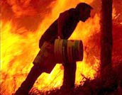 POR LA DRAMATICA SEQUIA El fuego destruye miles de hect�reas en Espa�a y Portugal Al menos 49 focos de incendio permanecen activos, varios de ellos est�n fuera de control. En la imagen (EFE), un voluntario colabora con la lucha en la localidad portuguesa de Abrantes.